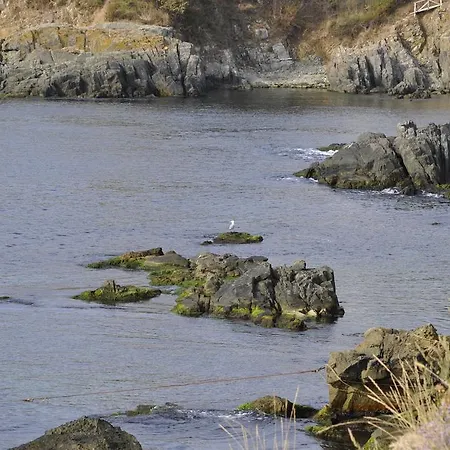 Via Pontica 123 Guest Lägenhet Sozopol