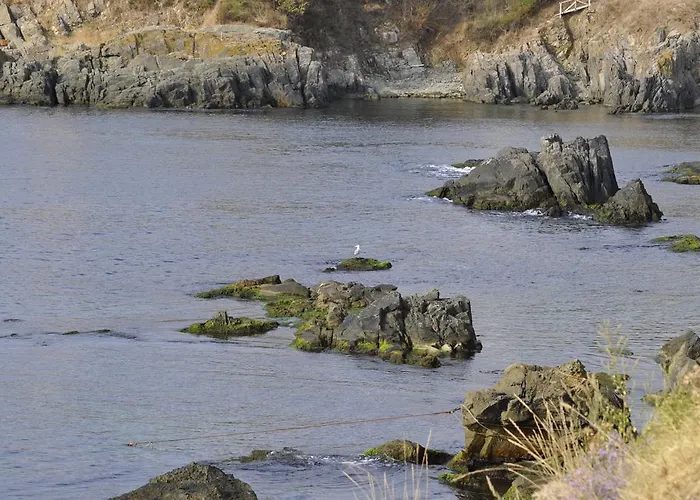 Via Pontica 123 Guest Apartament Sozopol